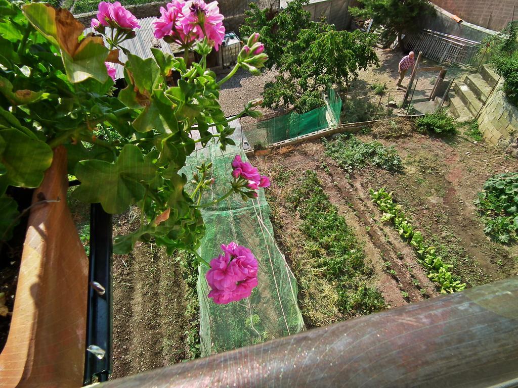 Bed and Breakfast Casa Catharina La Seu d'Urgell Exterior foto